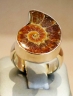 Ammonite Fossilisée bague argent